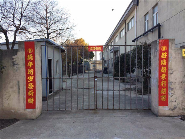 上海淞江新年快樂，全*人民新年快樂
